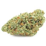 Шишки OG Kush  (Гидропоника, бошки) VHQ в Киришах